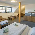 Pod Radhostem U Maleru Gasthuis 3*
