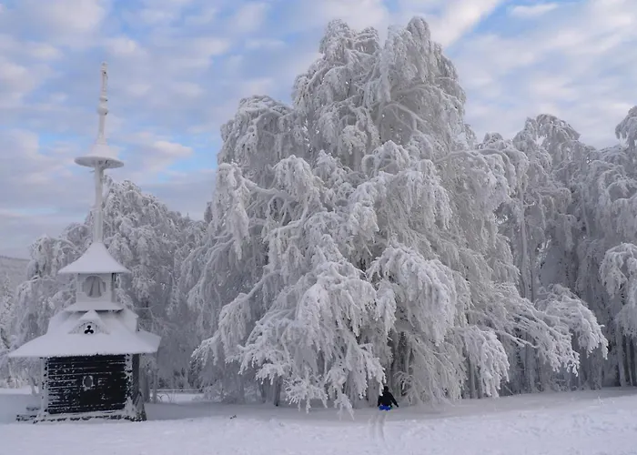 Pod Radhoštěm U Maléřů Penzion 3*